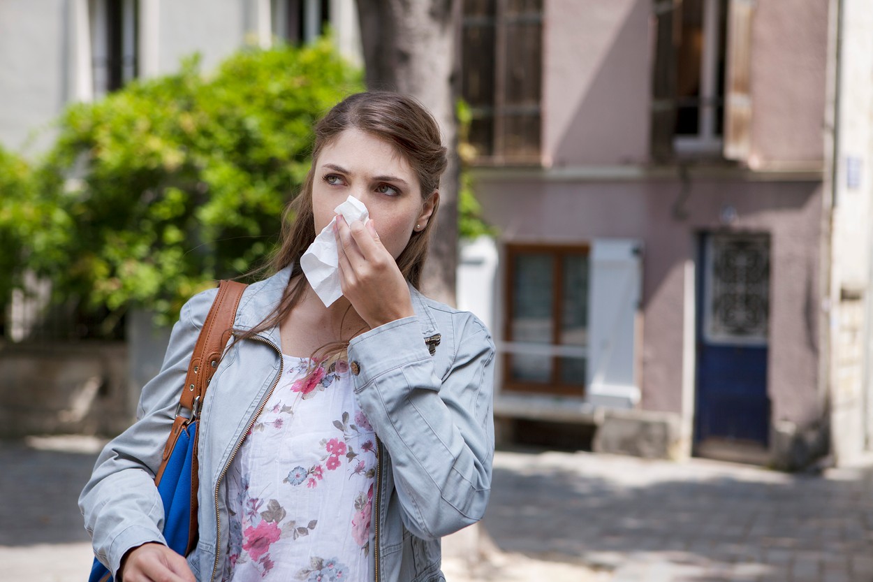 Upravo je počeo najjači talas ambrozije, a ovako možete ublažiti alergiju, savetuje profesorka dr Rašković