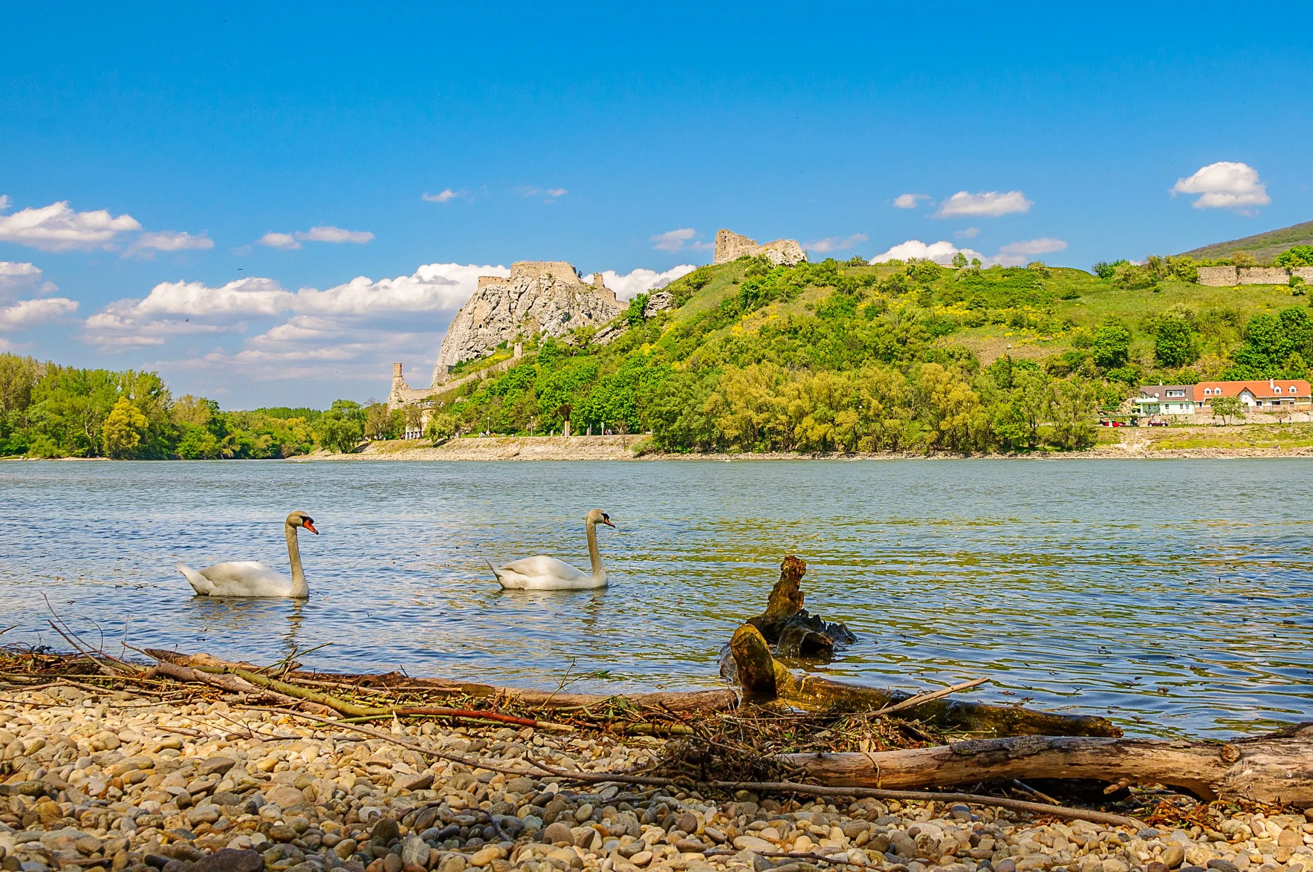 Bajkovita plaža u blizini Sokobanje na kojoj su se nekada kupali poznati glumci i danas je glavna atrakcija ovog dela Srbije