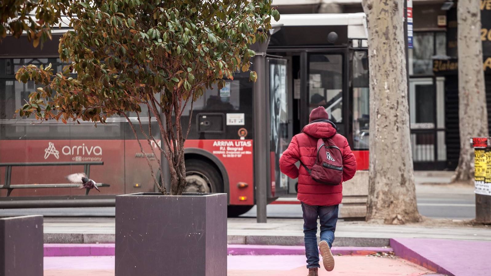 "A može i da se zove автобус+": Otkriven još jedan biser u Šapićevoj aplikaciji za gradski prevoz