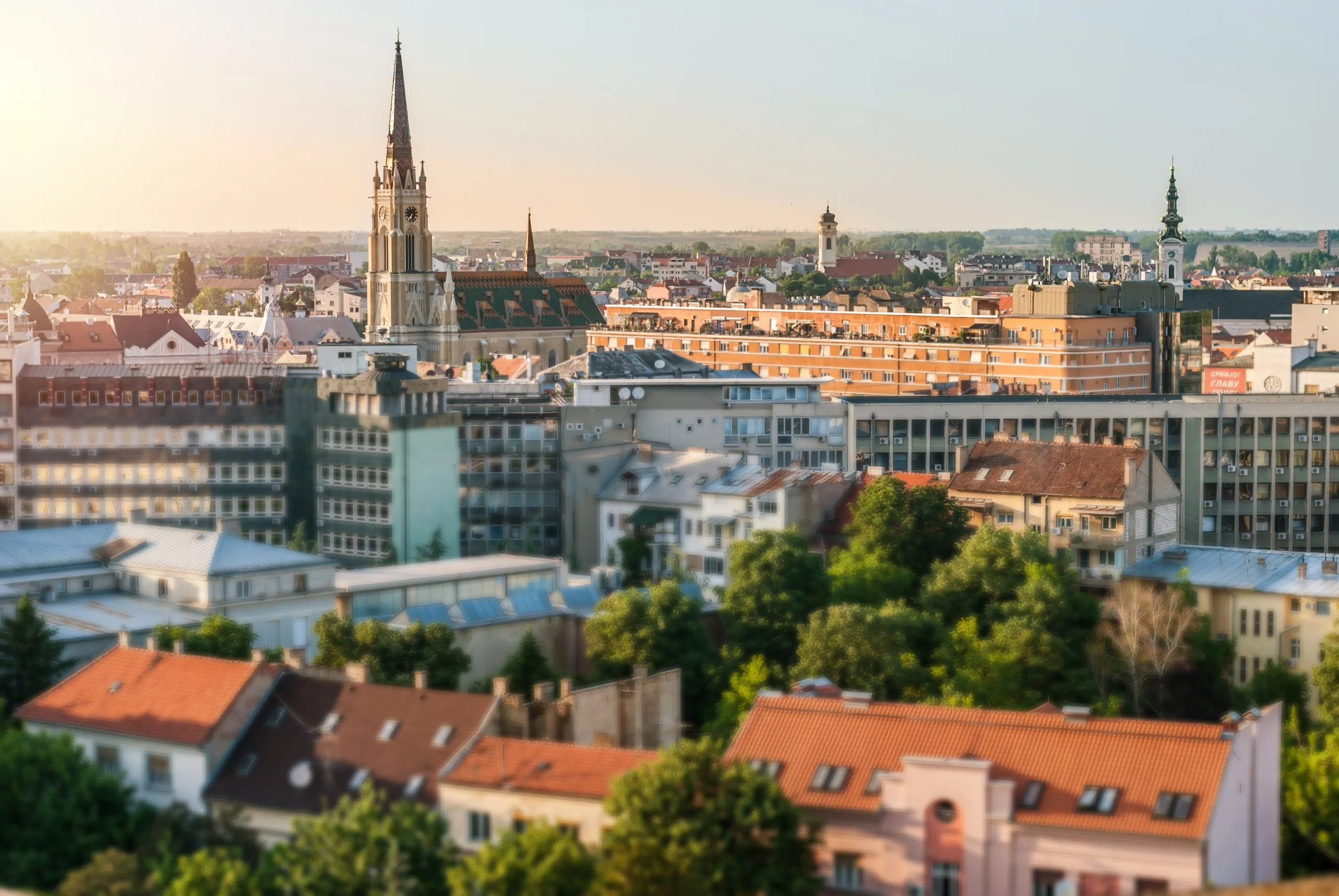 "Svako bira šta će držati u stanu, ali druže...": Novosađaninu pobegao kućni ljubimac, a kada su ga komšije videle u hodniku, htele su da se isele