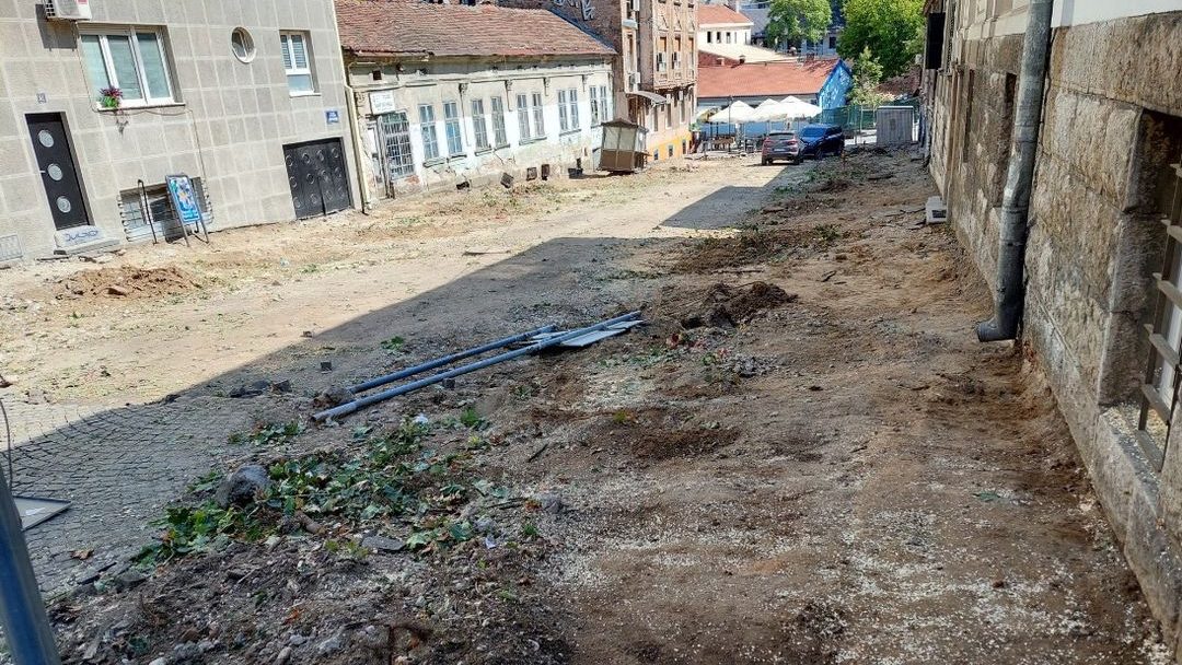 „I treba tako kada svi ćutimo“: Posečen je novi drvored u centru Beograda