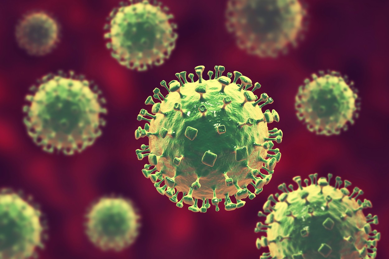 Šta se zna o virusu koji može da ubije tri od četiri zaražene osobe