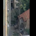 "Ako se ovo radi u centru Beograda, šta se onda tek radi u predgrađu": Nespretna seča drveta na Paliluli je glavna tema na društvenim mrežama