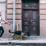 Način na koji ovaj gospodin šeta psa je znak da ljubimac treba da mu se oduzme: Snimak iz Beograda koji nas je razbesneo