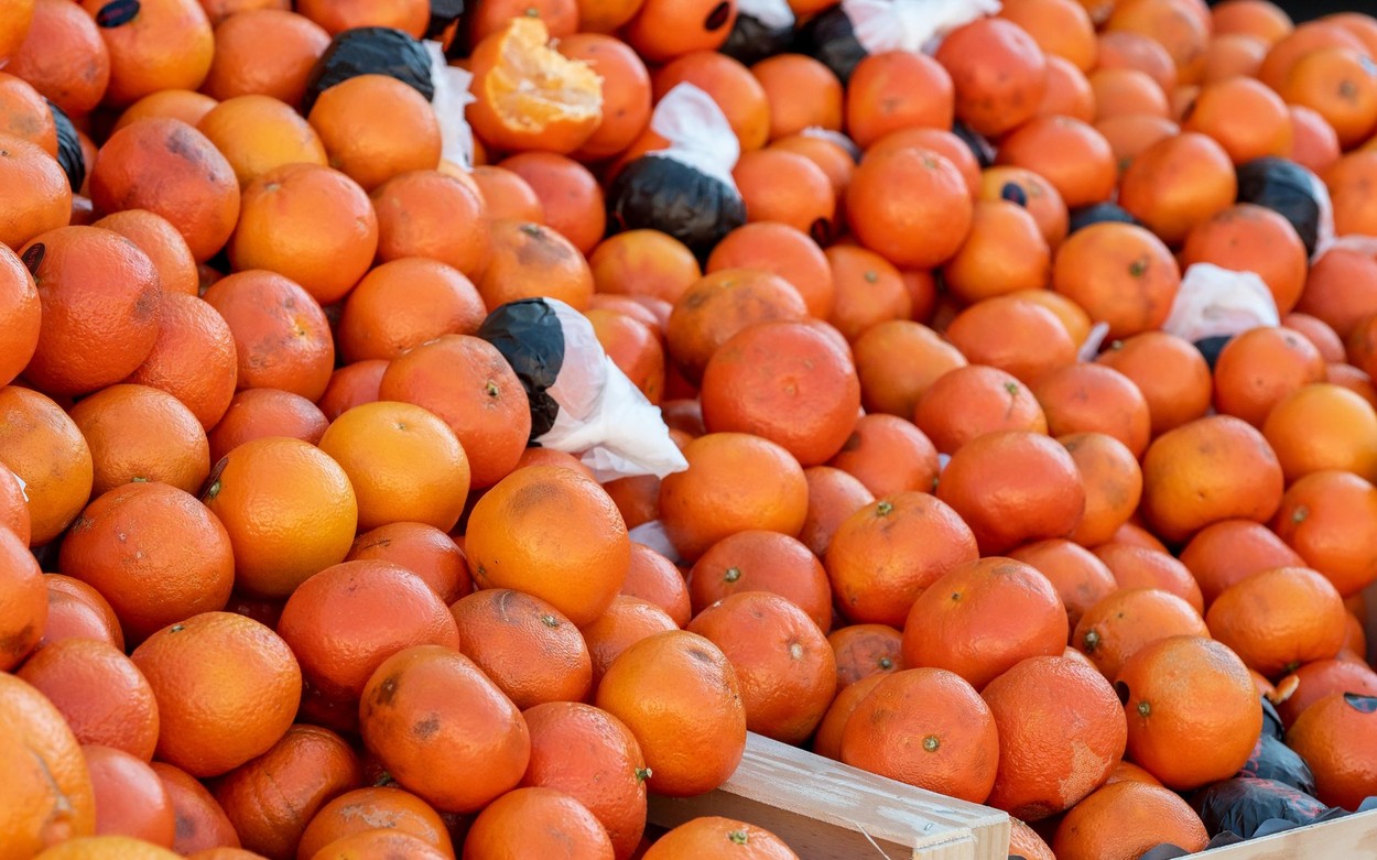 Zašto su mandarine ove sezone smežurane, blede i sitne