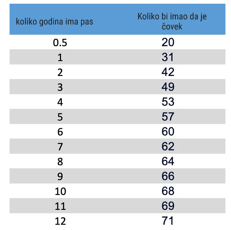 Koliko godina ima vaš pas? Ako množite sa 7 gadno grešite