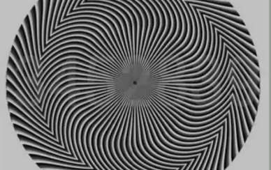 Optička iluzija koja je zbunila mnoge: Koje brojeve vidite na ekranu