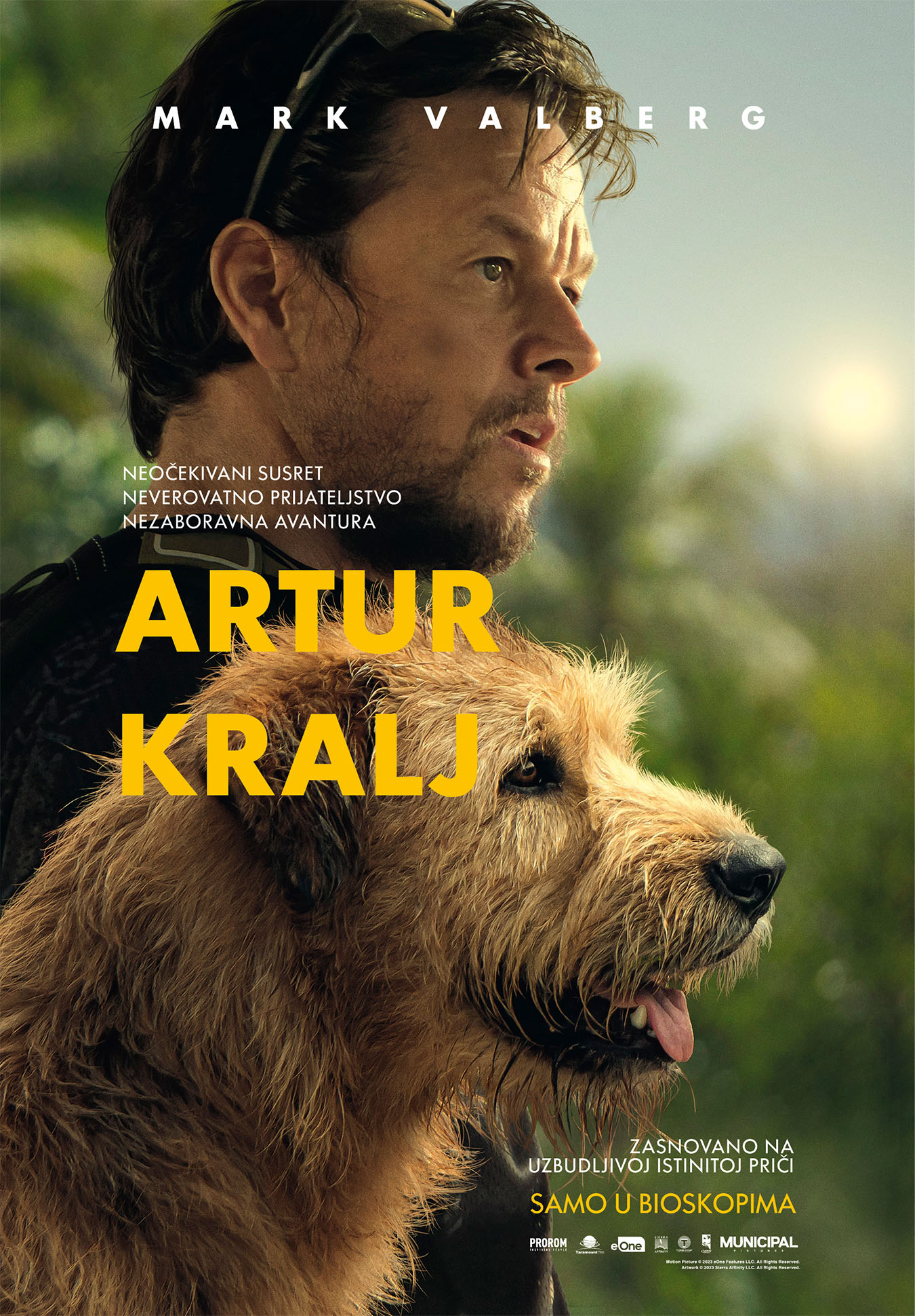 Avanturistički film „Artur kralj" stigao u bioskope