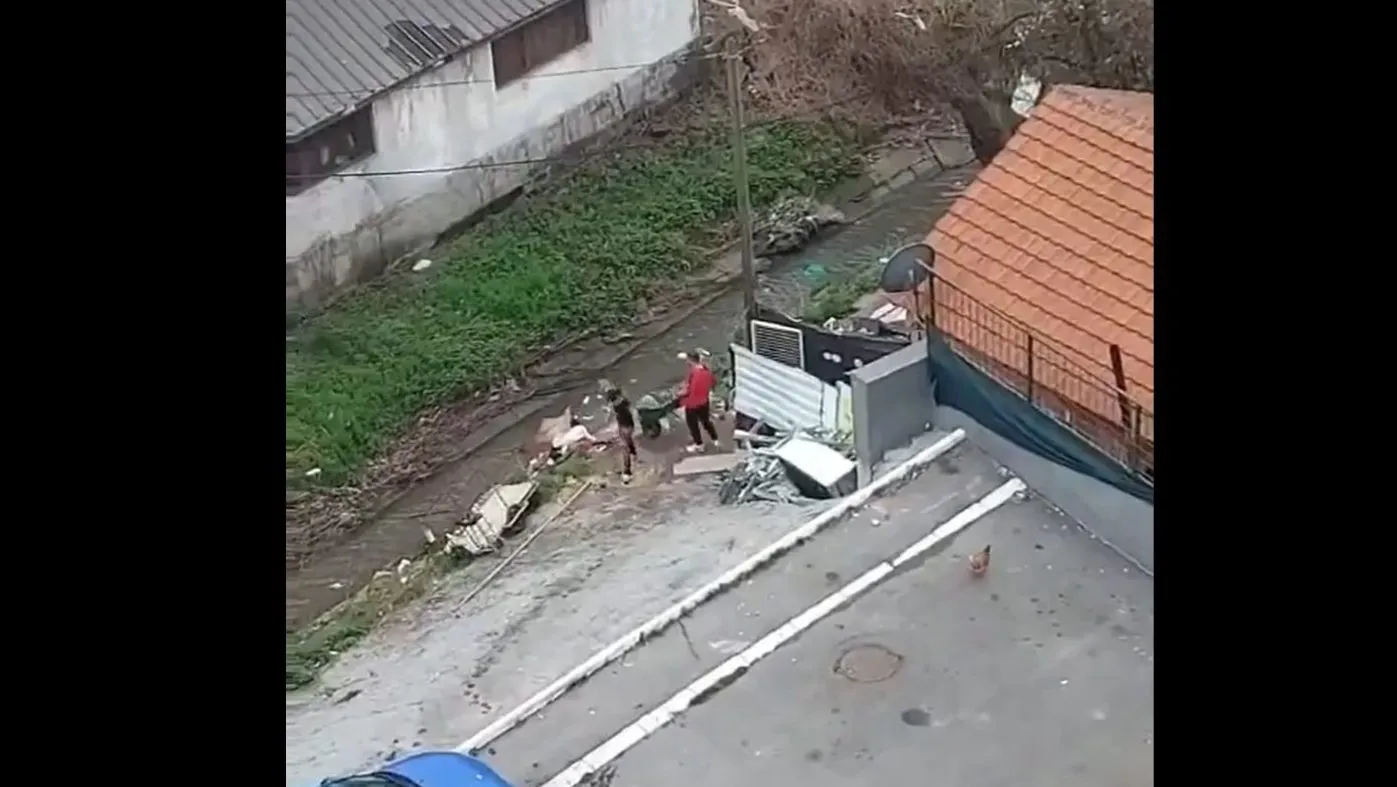 beograđani