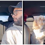 Vlasnik upitao svog psa da li zna šta je ljubav: Reakcija ovog ljubimca oduševila milione