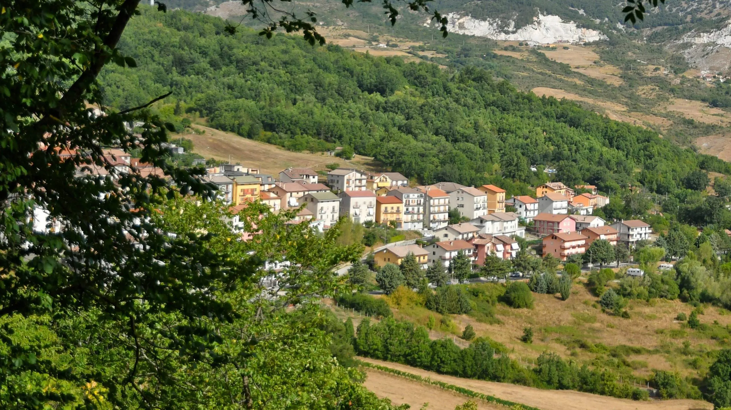 Latroniko
