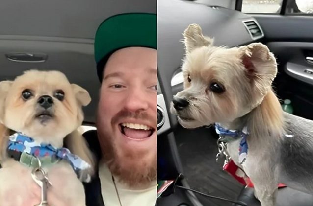 Odveo je psa na šišanje, a njegova nova frizura nasmejala je 7 miliona ljudi