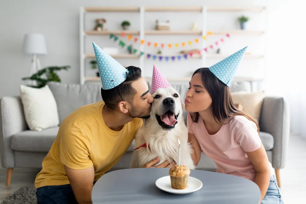 Milenijalci otkrili razloge zašto nemaju decu: "Zbog ovoga sam shvatila da ne želim"