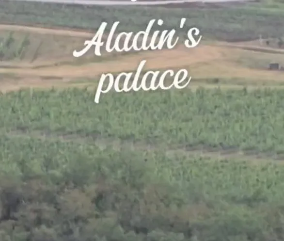Aladinova palata u njivama: TikTokerka posetila Srbiju i podelila video sa svetom