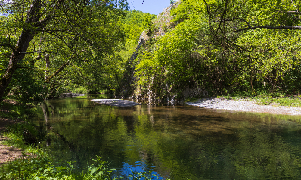Na 100 km od Beograda čeka vas oaza: Kupanje u pijaćoj vodi i staze u šumi zbog kojih ćete zaboraviti da je napolju vrelo