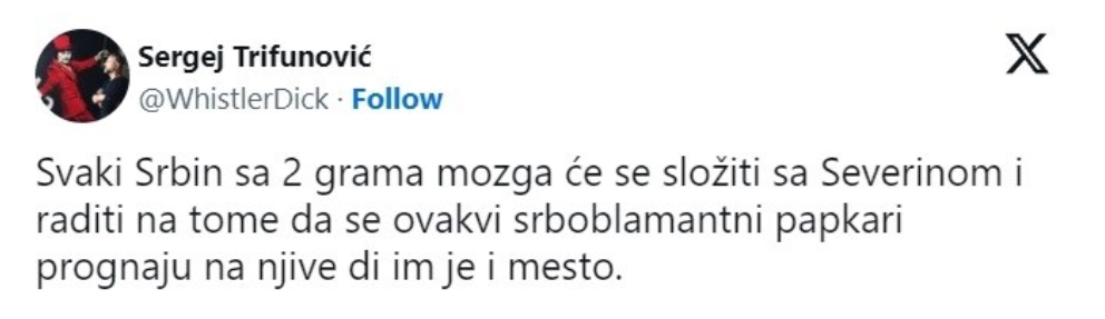 Umetnici iz Srbije podržali pevačicu: "Lepo priča Severina"