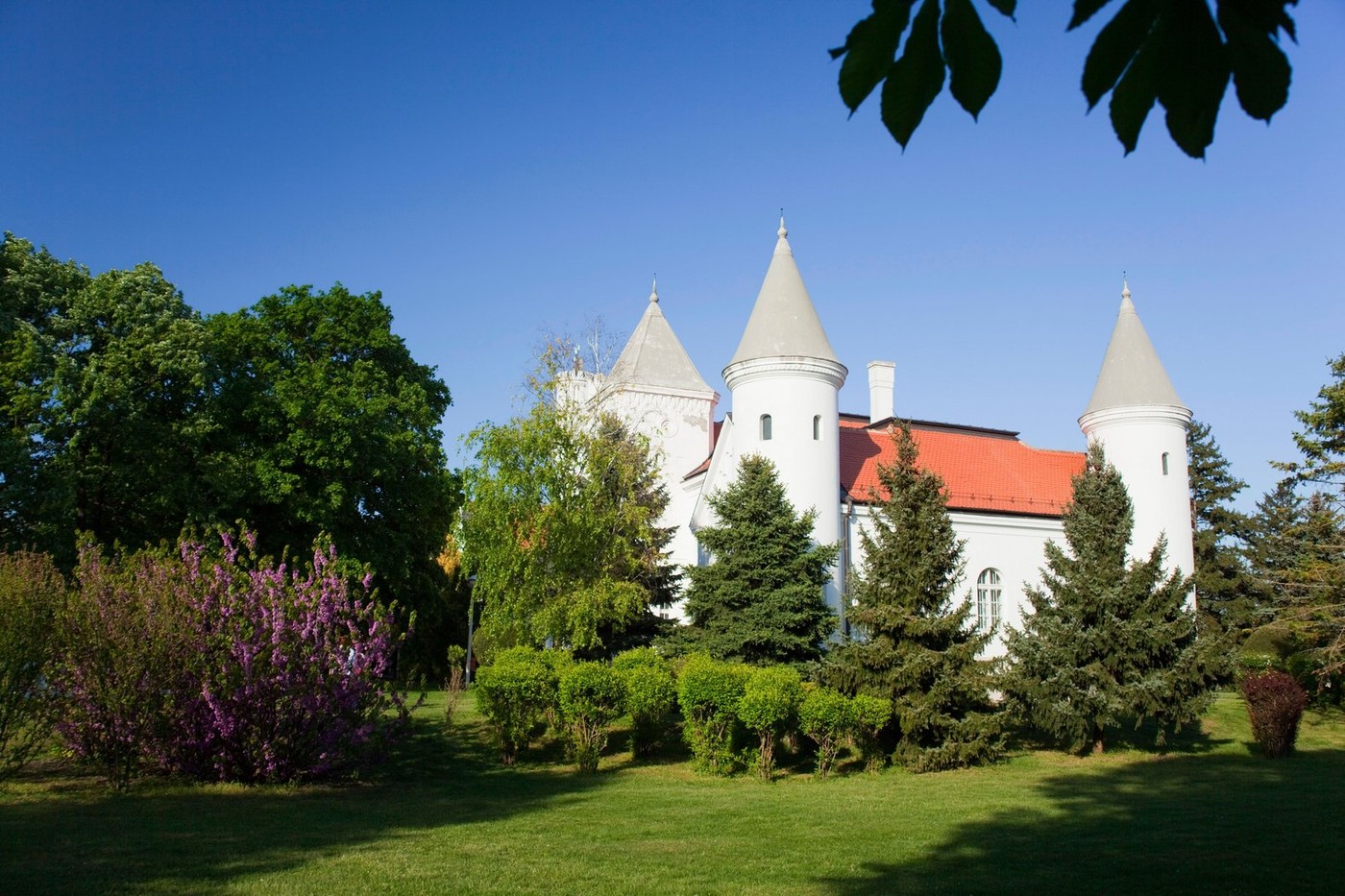 Tužna slika nekada najpoznatijeg dvorca u Vojvodini: Mesto na kom su se upoznali Laza Kostić i Lenka Dunđerski danas izgleda neprepoznatljivo