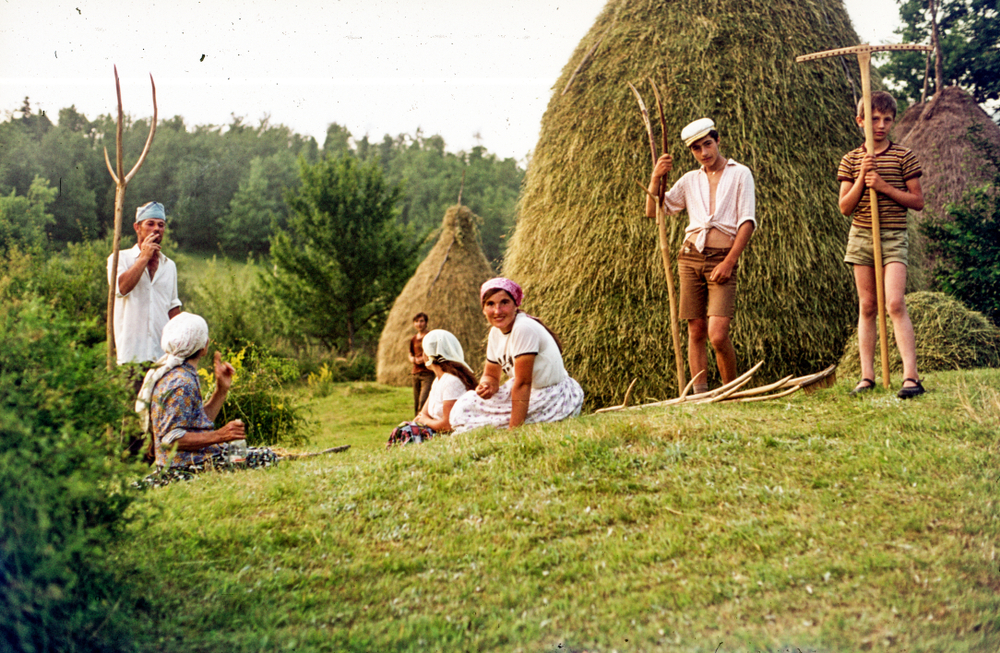 Na pitanje iz 1984. "ko je gazda u kući", ovako su odgovarali ljudi iz Jugoslavije: "Da se vratimo 40 godina unazad, otišli bismo 50 unapred”