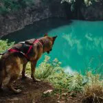 Ovo bajkovito jezero je skriven biser Fruške gore: Na njemu su snimani poznati domaći filmovi i ulaz je besplatan