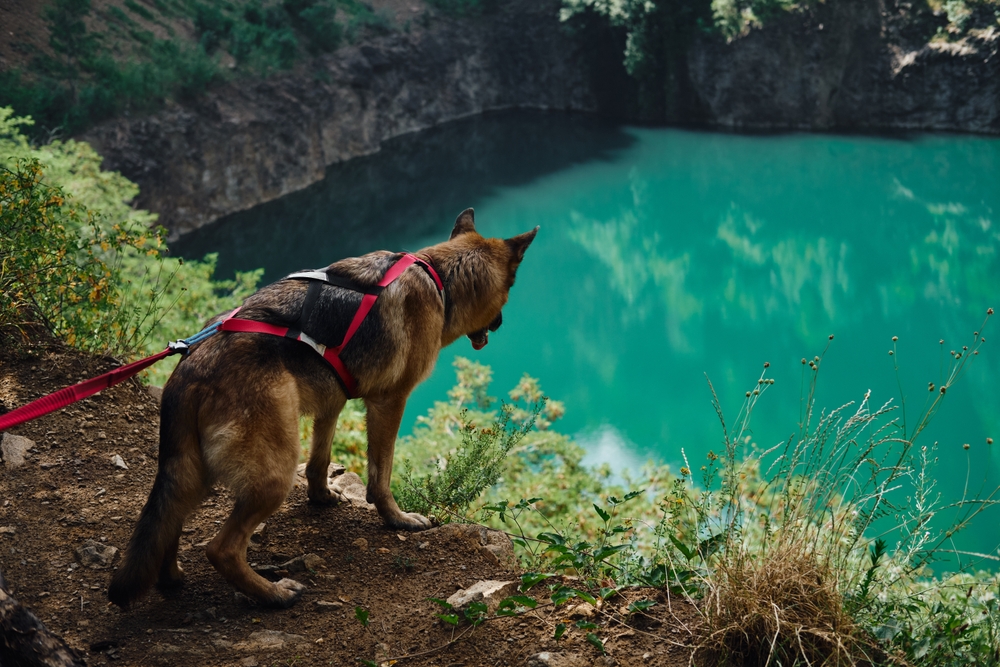 Ovo bajkovito jezero je skriven biser Fruške gore: Na njemu su snimani poznati domaći filmovi i ulaz je besplatan