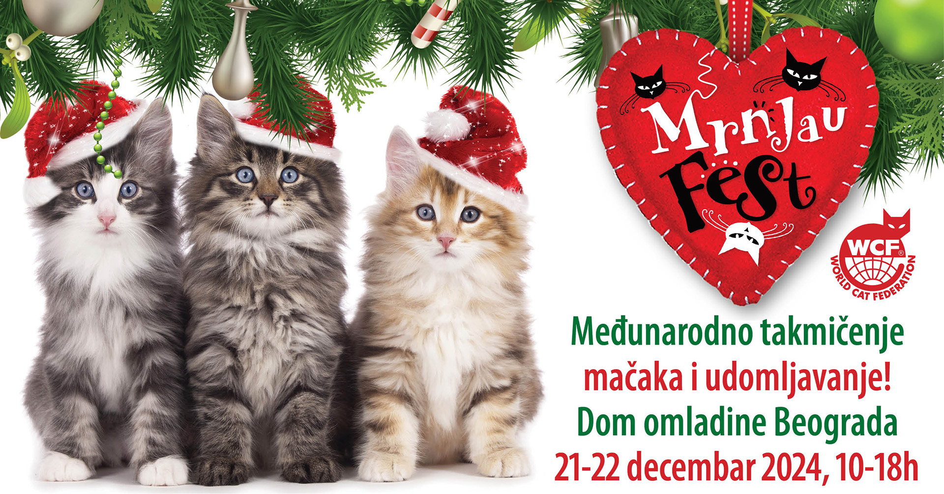 Mrnjau Fest // Dom omladine Beograda // 21-22.12.