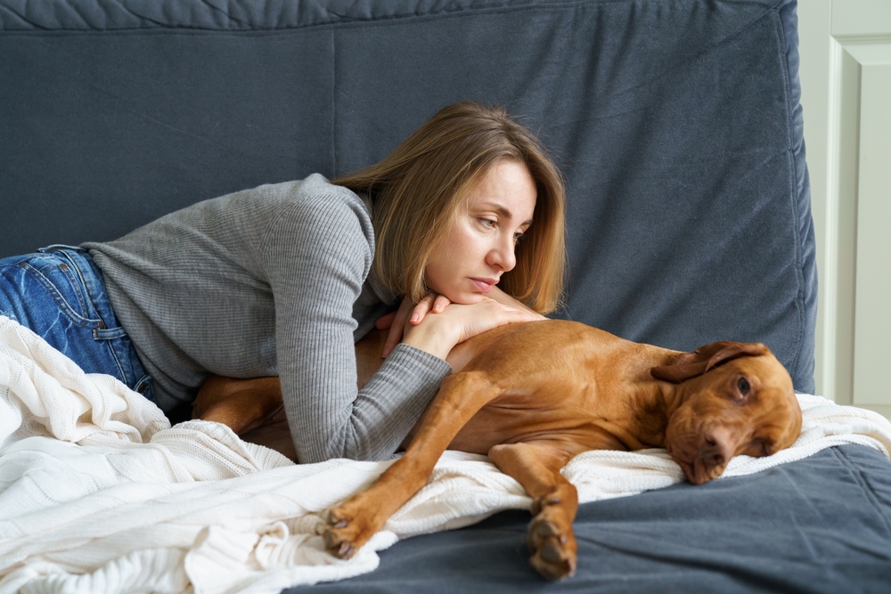 Veterinarka otkriva 6 zdravstvenih problema koje nijedan stariji pas ne može da izbegne