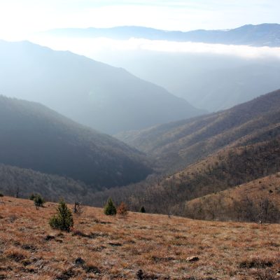 Na 3 sata od Beograda čeka vas zapostavljena planina poznata po divljim konjima i paraglajdingu