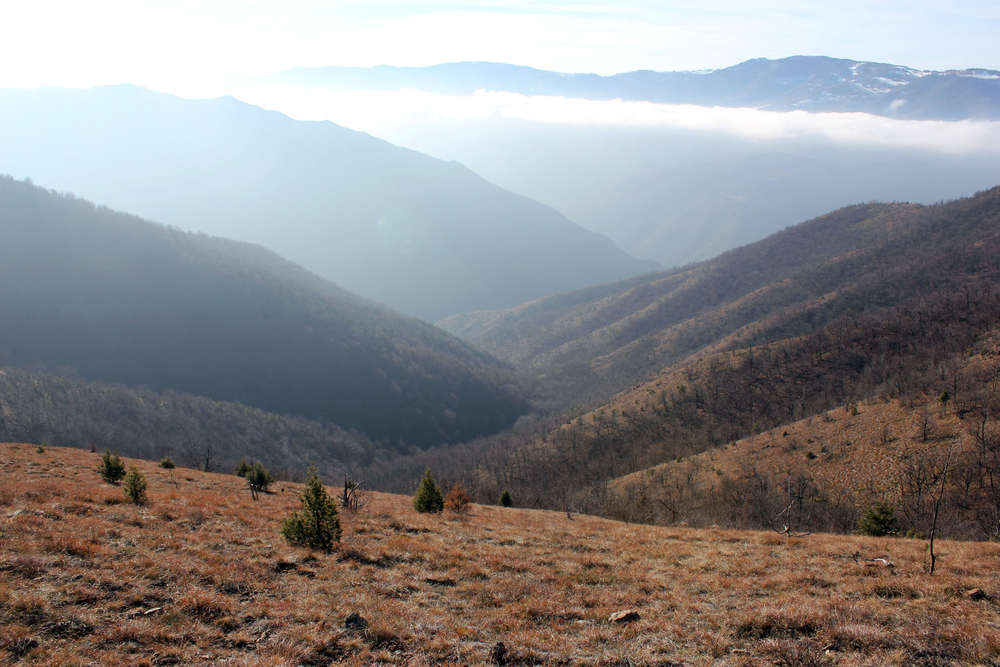 Na 3 sata od Beograda čeka vas zapostavljena planina poznata po divljim konjima i paraglajdingu