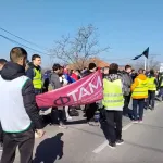 Studenti su u Sopotu prespavali u plastenicima, a ovako je izgledalo njihovo jutro: "Svako poštovanje, junaci ste"