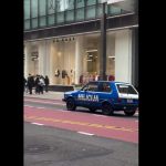 Plavi jugo na Petoj aveniji postao hit snimak na mrežama: Svi se oduševe kad vide tablice