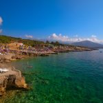 Na plaži kod Budve uočeno neobično stvorenje: Izgleda kao iz sci-fi filma i pliva samo u najčistijim vodama