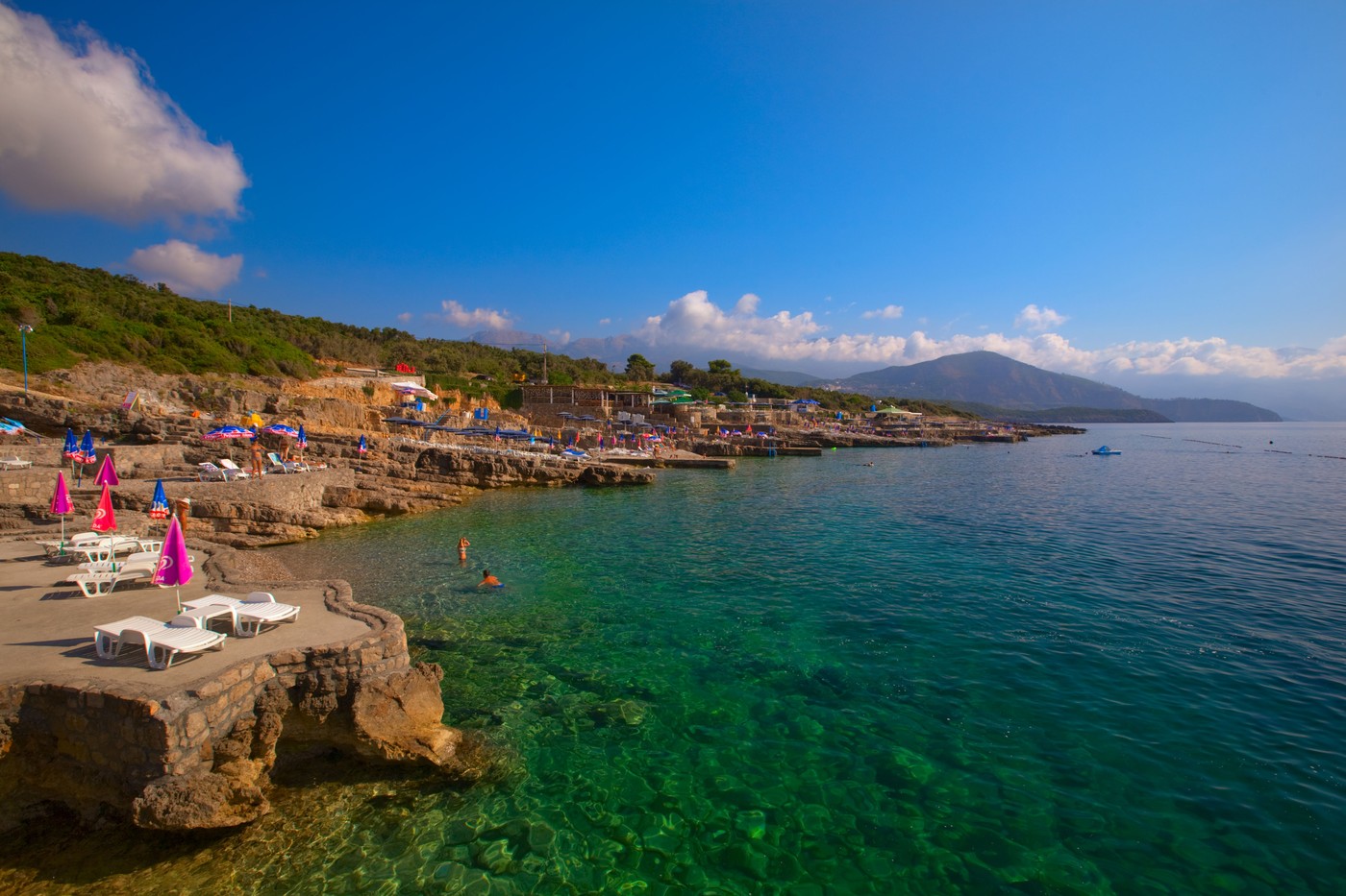 Na plaži kod Budve uočeno neobično stvorenje: Izgleda kao iz sci-fi filma i pliva samo u najčistijim vodama