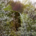 Na 3 sata od Beograda nalazi se vodopad koji mnogi nazivaju Mali Kolorado, a priroda oko njega je kao iz bajke