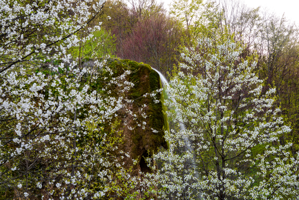 Na 3 sata od Beograda nalazi se vodopad koji mnogi nazivaju Mali Kolorado, a priroda oko njega je kao iz bajke