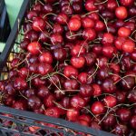 Hrvatica otišla u Švajcarsku pa se požalila na cene: Kad čujete koliko košta kilo trešanja, neće vam biti dobro