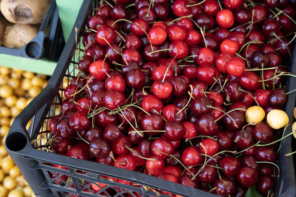 Hrvatica otišla u Švajcarsku pa se požalila na cene: Kad čujete koliko košta kilo trešanja, neće vam biti dobro