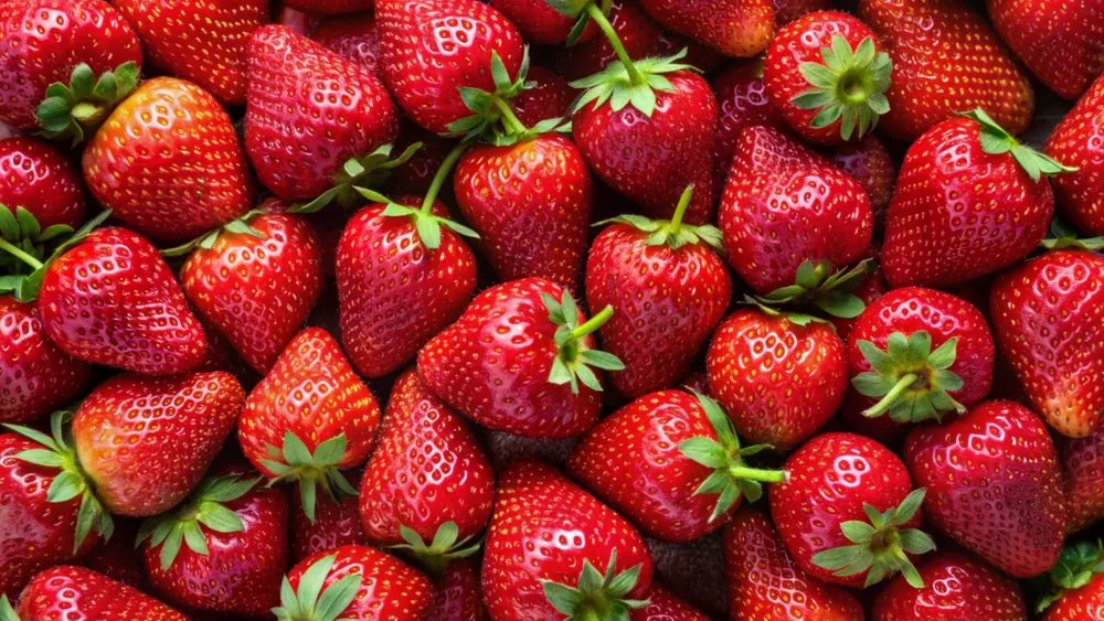 jagode