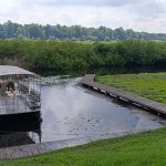 Mladi istraživači Srbije na Obedskoj bari: Saradnjom ka očuvanju biodiverziteta