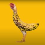 Nova viralna pesma od 2 reči ima skoro 40 miliona pregleda na Jutjubu: Jednom kad čujete, pevušićete ceo dan