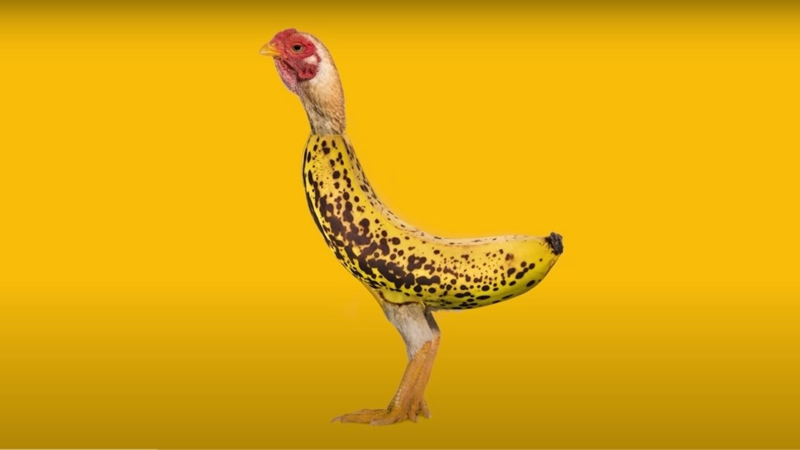 Nova viralna pesma od 2 reči ima skoro 40 miliona pregleda na Jutjubu: Jednom kad čujete, pevušićete ceo dan