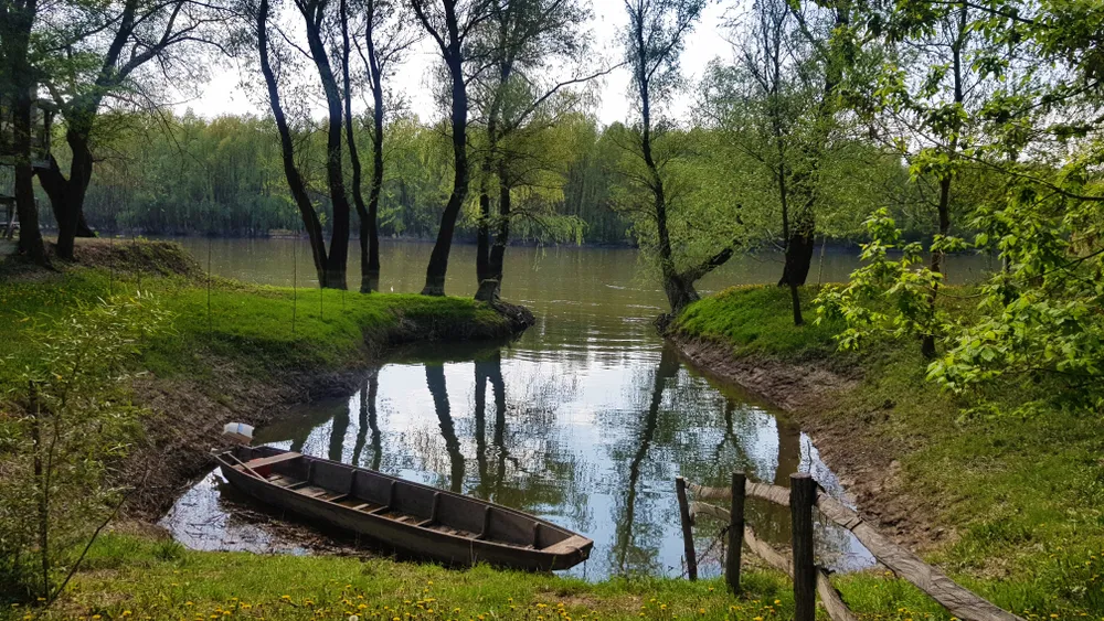 Doživite duh Amazonije na sat vremena od Beograda: Nezaboravna vožnja kajakom kroz srce divlje Vojvodine