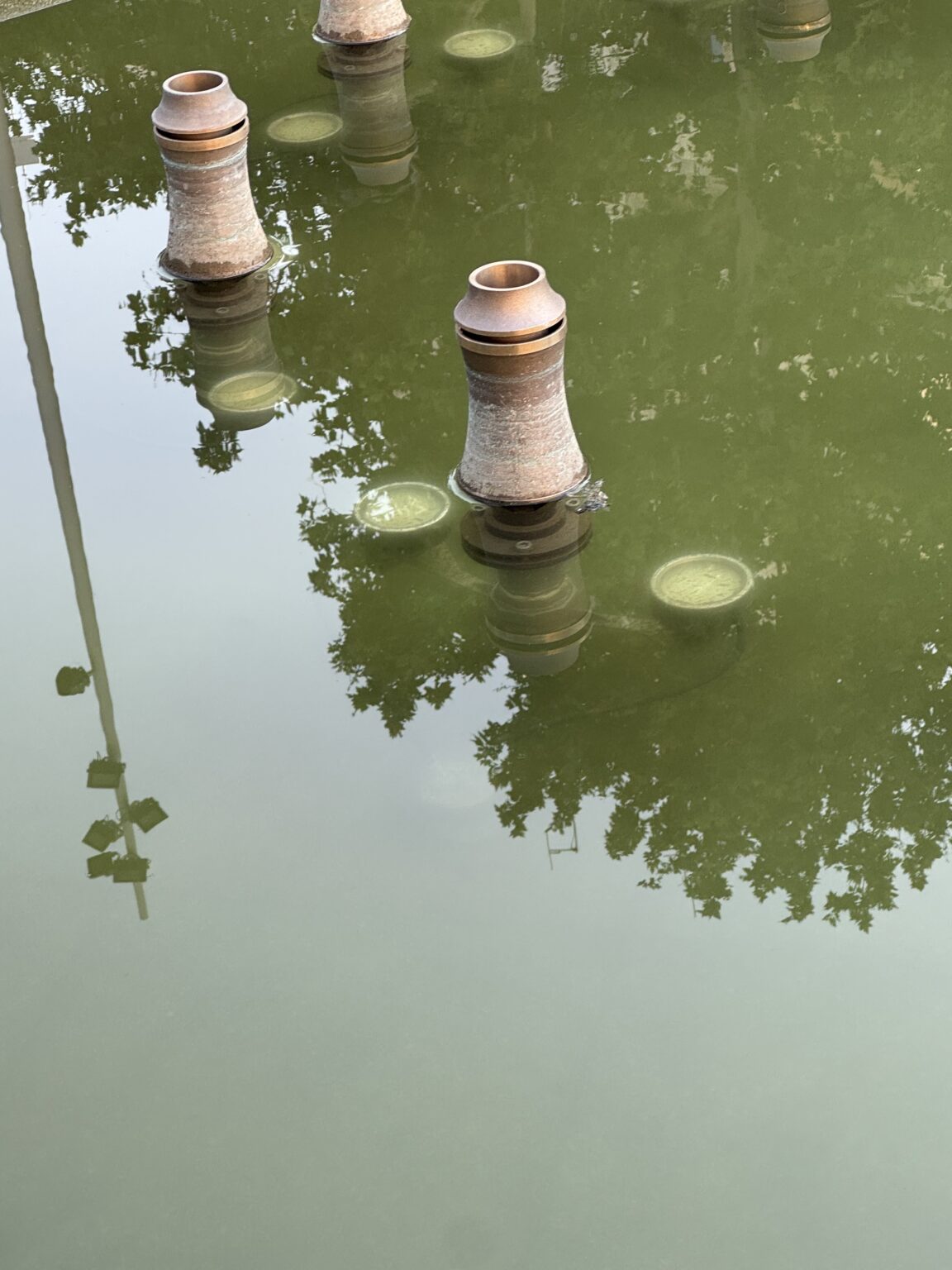 "Slike preko kojih možeš da osetiš smrad": Ovako izgleda fontana na Trgu Nikole Pašića samo par meseci nakon rekonstrukcije 2 "Slike preko kojih možeš da osetiš smrad": Ovako izgleda fontana na Trgu Nikole Pašića samo par meseci nakon rekonstrukcije