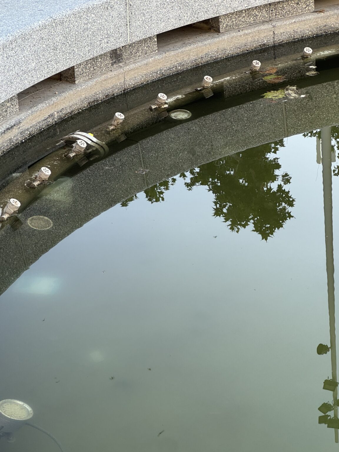 "Slike preko kojih možeš da osetiš smrad": Ovako izgleda fontana na Trgu Nikole Pašića samo par meseci nakon rekonstrukcije 3 "Slike preko kojih možeš da osetiš smrad": Ovako izgleda fontana na Trgu Nikole Pašića samo par meseci nakon rekonstrukcije