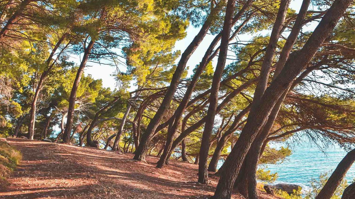 Zašto je Ulcinj više od plaže: Tamo gde more susreće borovu šumu