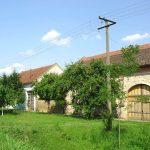 "Srpska Sorbona" u srcu Bačke: Najgenijalnije selo sa 39 doktora nauka i 37 reprezentativaca