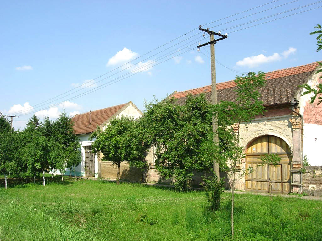 "Srpska Sorbona" u srcu Bačke: Najgenijalnije selo sa 39 doktora nauka i 37 reprezentativaca