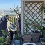 Pokažite nam svoj kutak raja: Prijavite se za najlepšu terasu Beograda. Požurite- konkurencija je sve jača