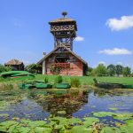 Skriveni raj blizu Beograda, idealan za vikend beg: Mesto gde magarci, dabrovi i ptice žive zajedno