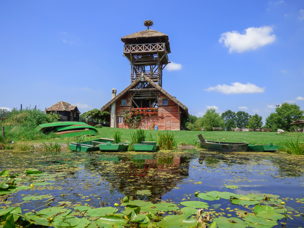 Skriveni raj blizu Beograda, idealan za vikend beg: Mesto gde magarci, dabrovi i ptice žive zajedno