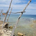 Tajna visećih brodića Istre: Konstrukcije stare preko 100 godina odolevaju vremenu i zadivljuju turiste